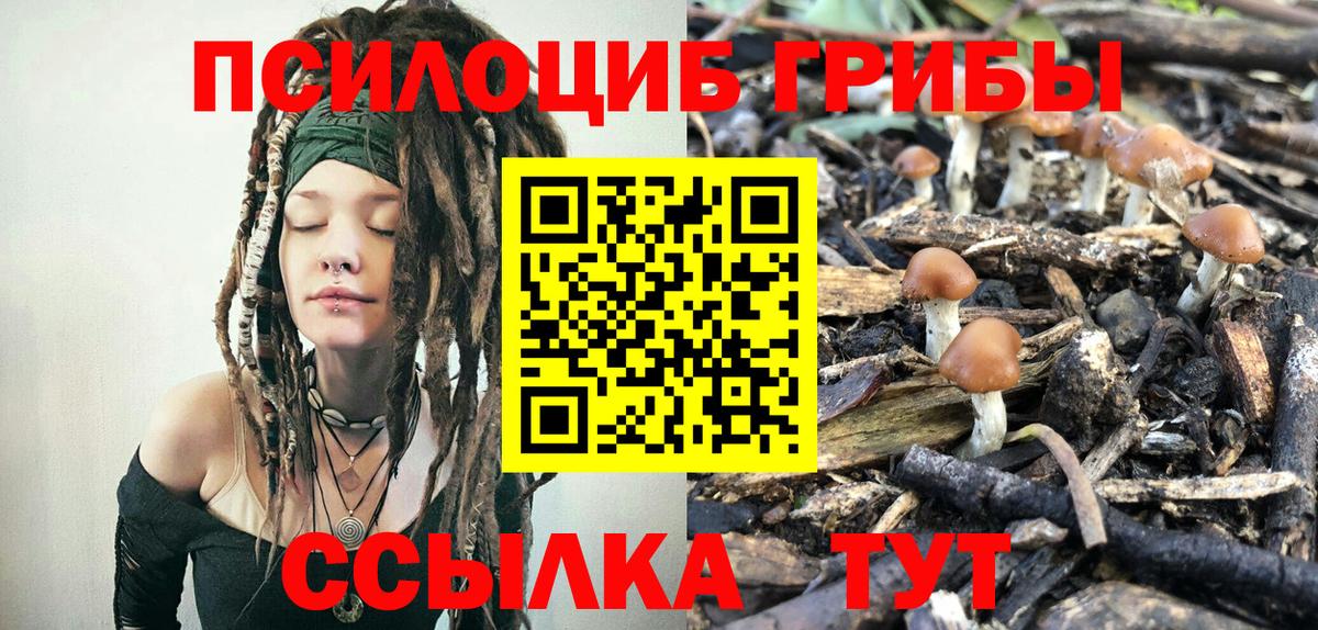 Галлюциногенные грибы Psilocybe  Вход с VPN  Вятские Поляны 